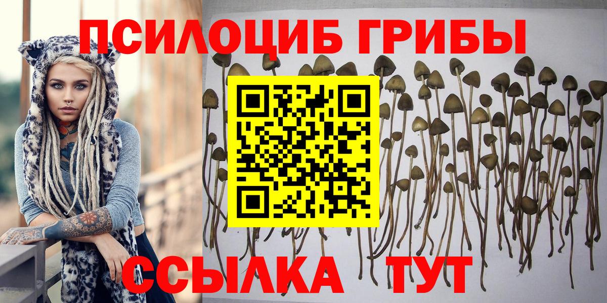 Псилоцибиновые грибы прущие грибы  Псилоцибиновые грибы Cubensis  Узловая  Вход с VPN 