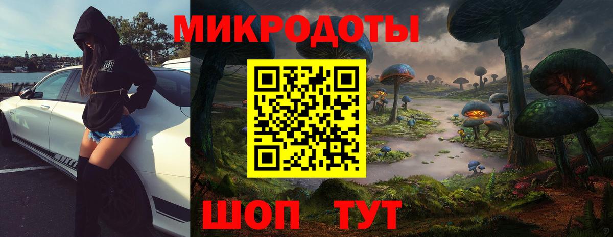 Галлюциногенные грибы мухоморы Узловая